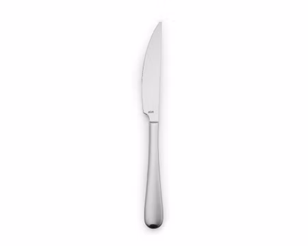 Focus Grillkniv