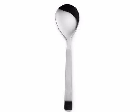 Serveringssked L 23cm, rostfritt stål