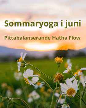 Sommaryoga-pittabalanserande Hatha Flow (Kungälv)