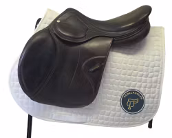 Amerigo, Farouche Pinerolo, 17,5", brun, bomvidd +1,5, kallpress