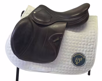 Amerigo, Farouche Pinerolo, 17,5", brun, bomvidd +1,5, kallpress