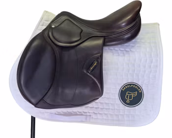 Amerigo, DJ Pinerolo, 17", brun, +1,5, kallpress
