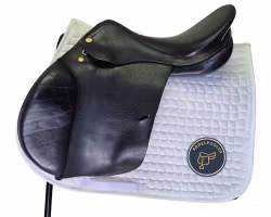 Prestige Appaloosa, Hippos Silver Star, 17, svart, 33