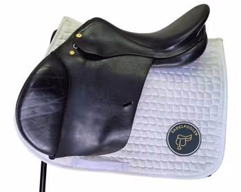 Prestige Appaloosa, Hippos Silver Star, 17, svart, 33