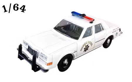 1988 Dodge Diplomat Vit Greenlight