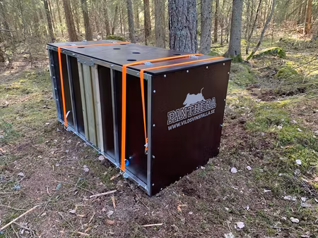Vildsvinsfälla Enkel