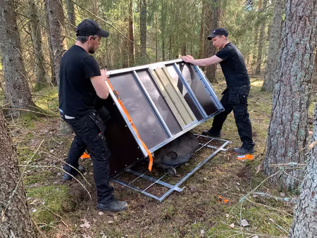 Vildsvinsfälla Enkel