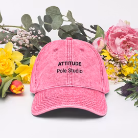 Vintage Embroided Cap - Pink - One size