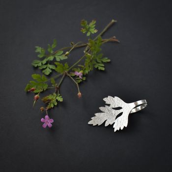 Ring, Stinknäva nr.1