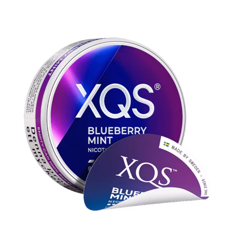 Blueberry Mint - XQS