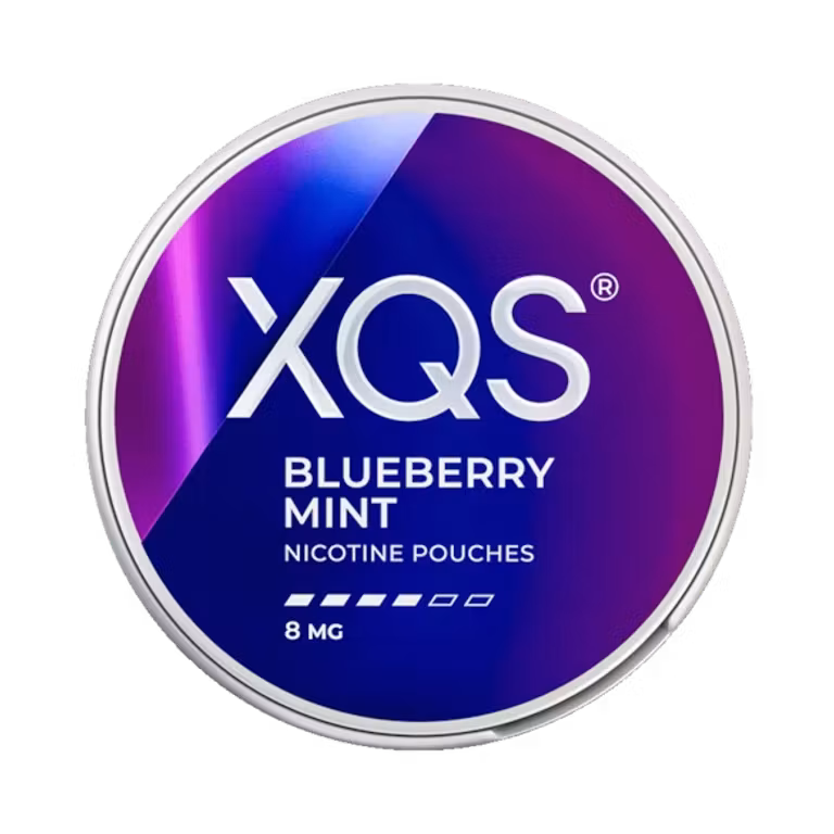 XQS - Blueberry Mint 8mg