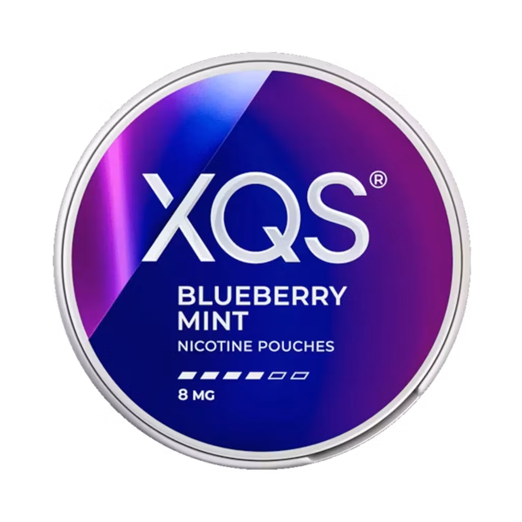 XQS - Blueberry Mint 8mg
