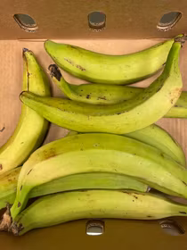 Plantain/ Banana