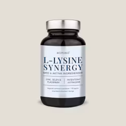 Nordbo L-Lysine Synergy, 90 kap