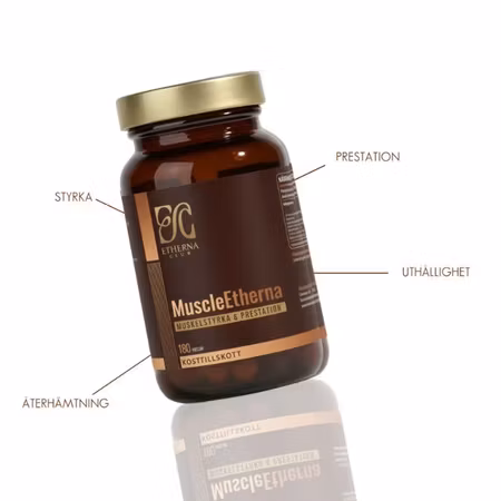 Etherna Club MuscleEtherna 180k