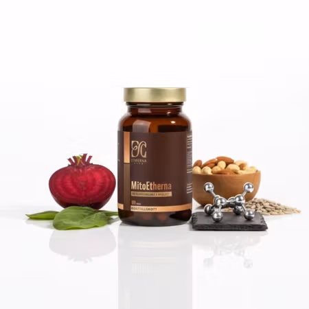 Etherna Club MitoEtherna 60k