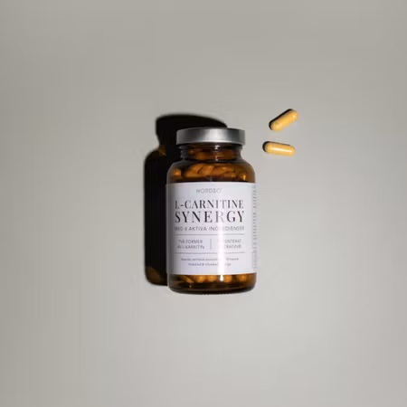Nordbo L-Carnitine Synergy, 90 kap