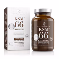 KSM66 Stressbalans 120k