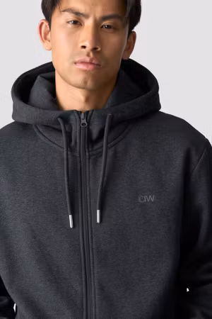 Everyday Zip Hoodie Herr Grå Melange