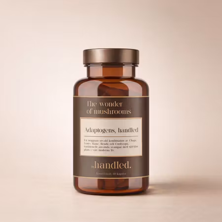 Byhandled The wonder of mushrooms