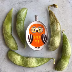 It's a hoot