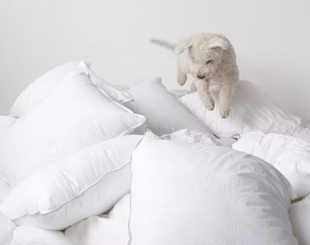 Hotellkudde 1250g 70x100 Borganäs of Sweden