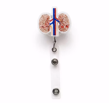 Elastisk korthållare, njurar