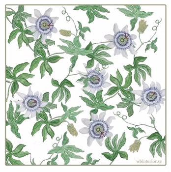Disktrasa - Passionsblomma