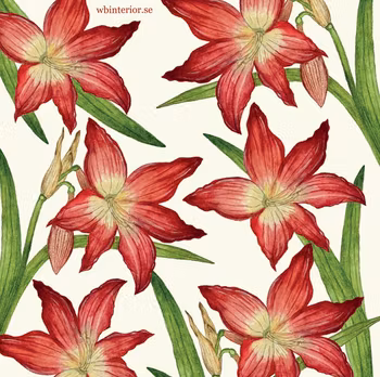 Disktrasa Amaryllis