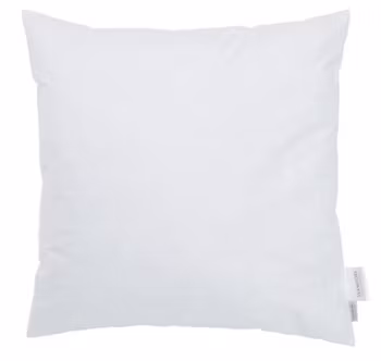 Innekudde 50x50 Fjäder