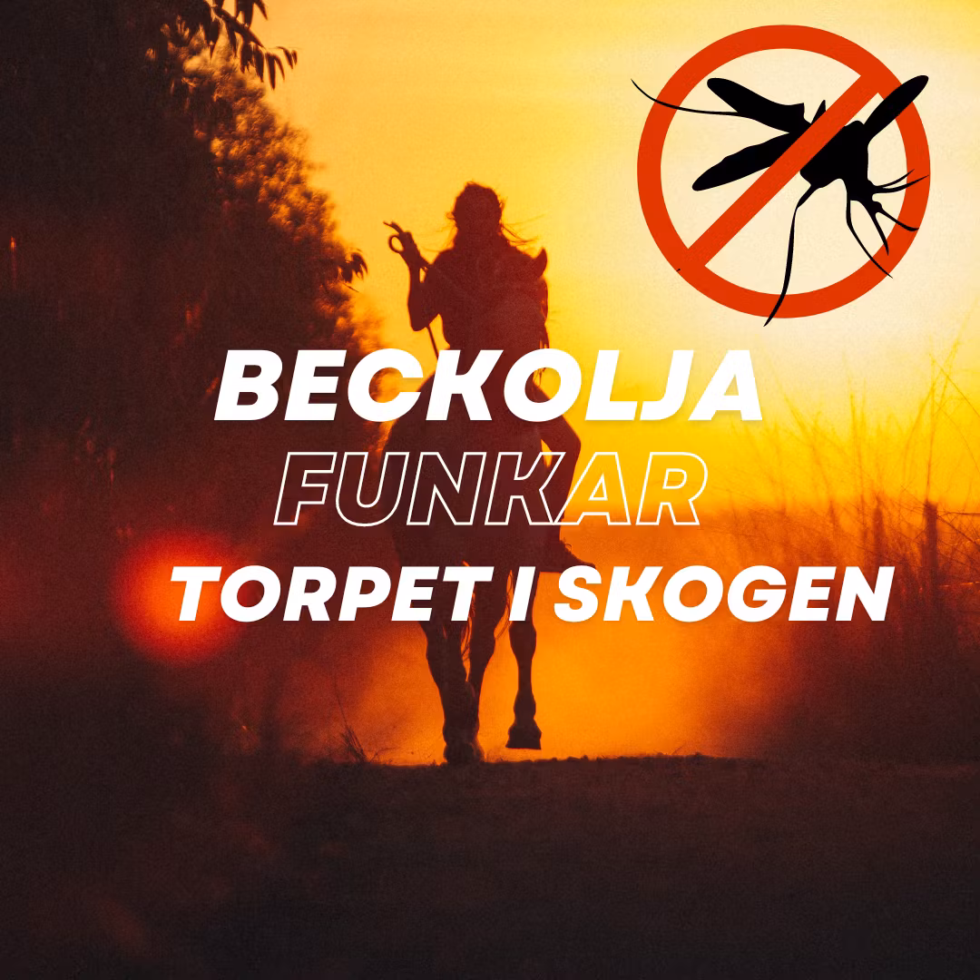 Beckolja-Hästar blanda ut till 8 liter spray fri frakt