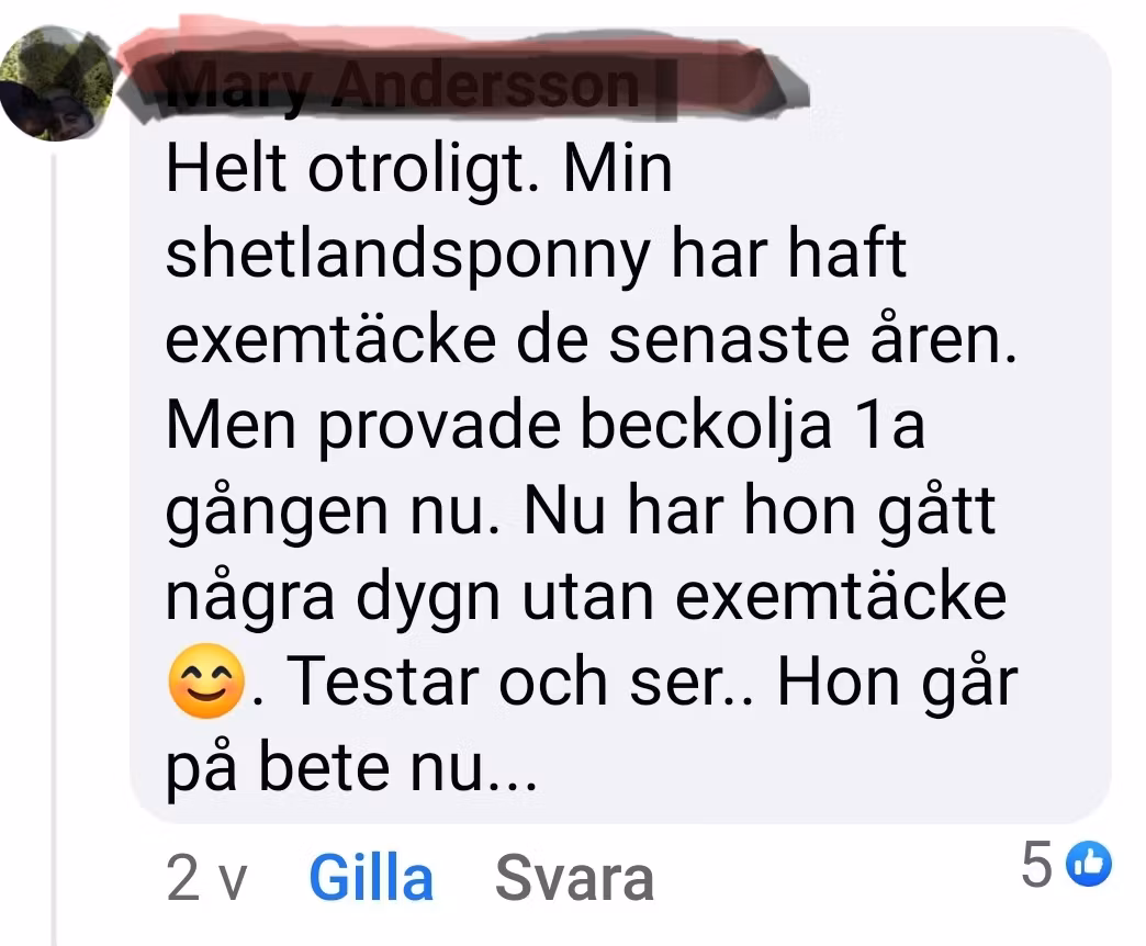 Beckolja-Hästar blanda ut till 8 liter spray fri frakt