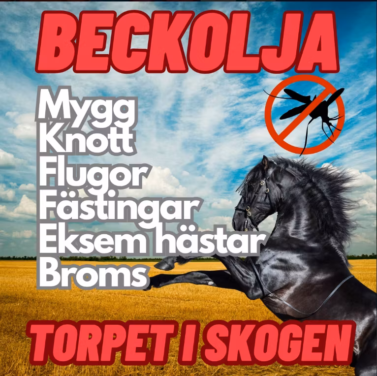 Beckolja-Hästar blanda ut till 4 liter spray fri frakt