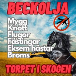 Beckolja-Hästar blanda ut till 4 liter spray fri frakt