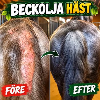 Beckolja för häst mot mygg, knott, flugor och broms. till 16 liter spray