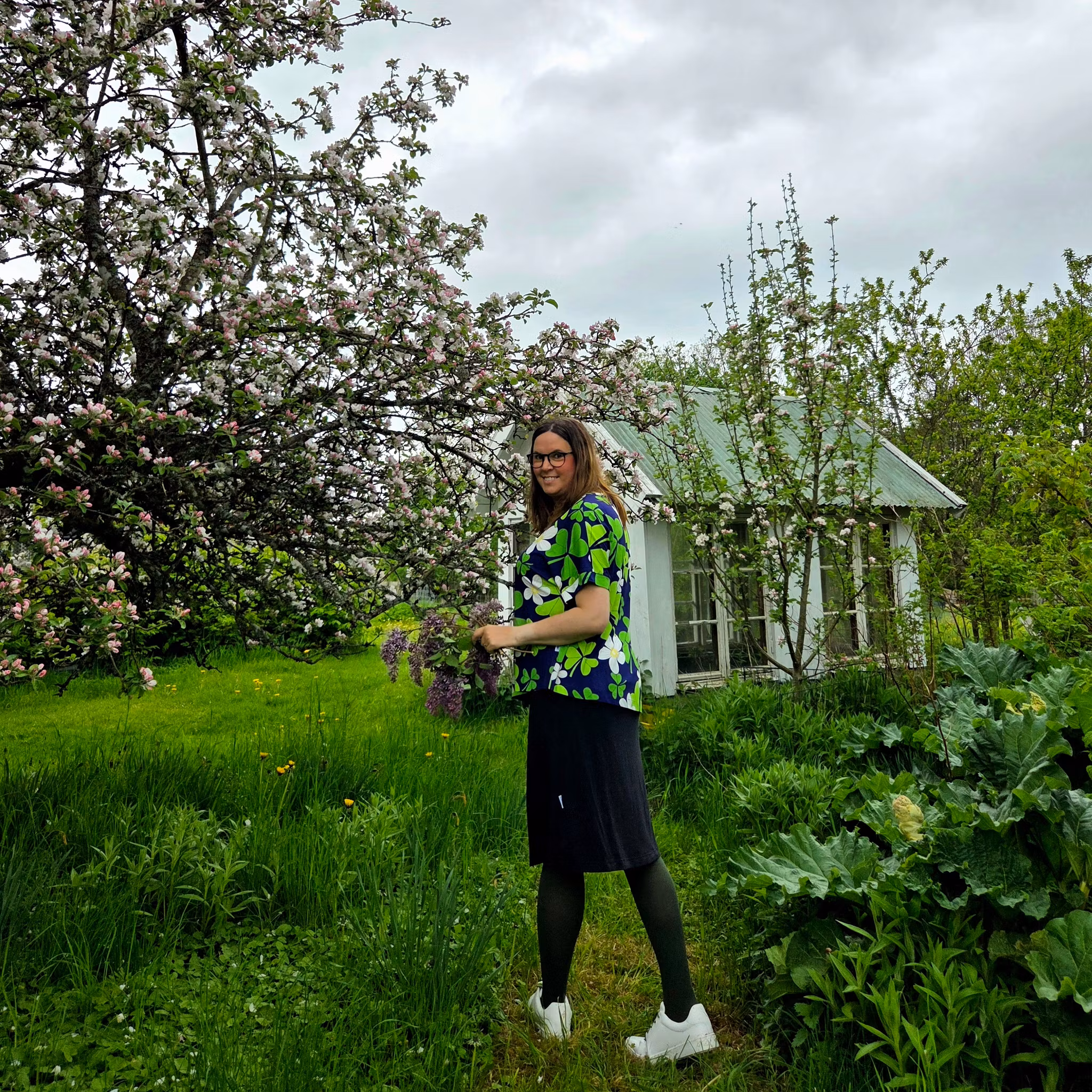 TOPP - Blommande Harsyra