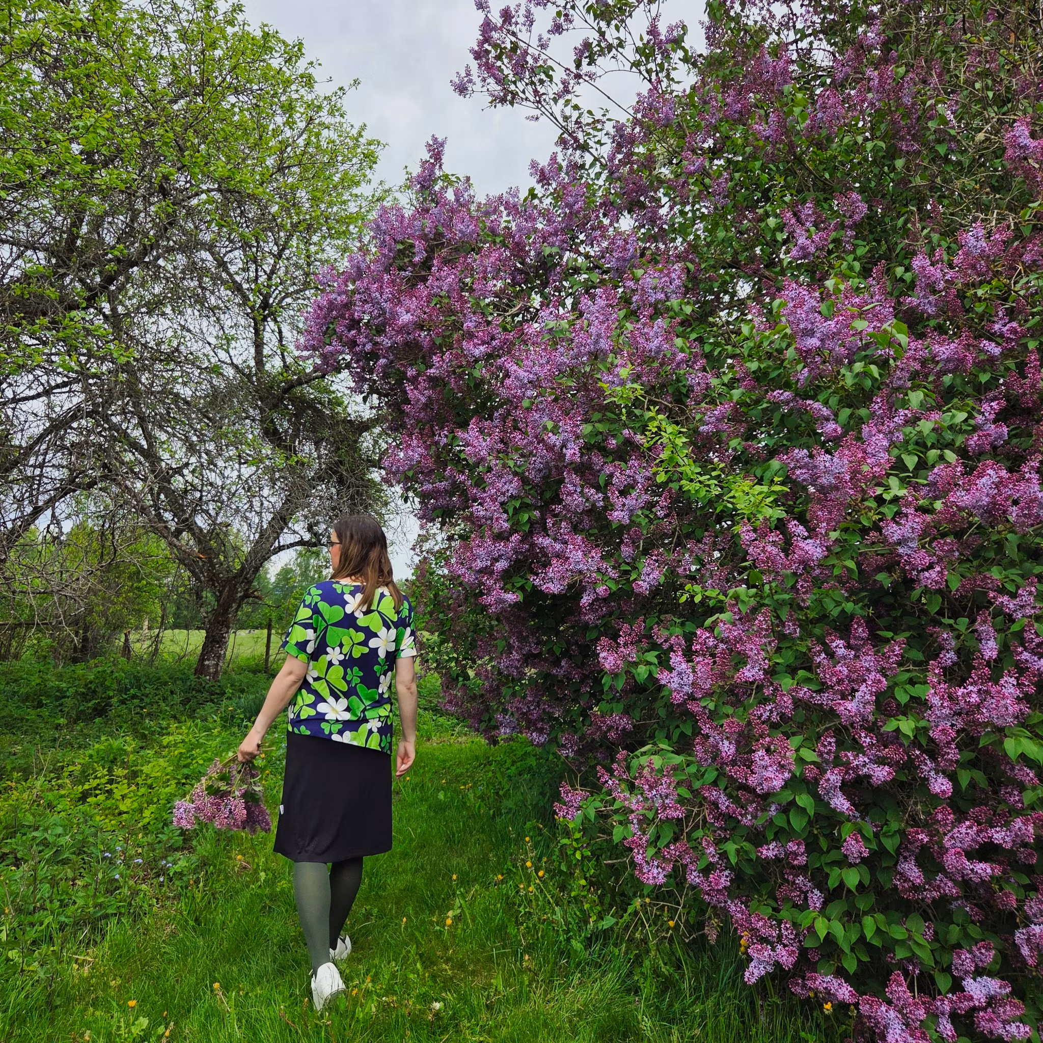 TOPP - Blommande Harsyra