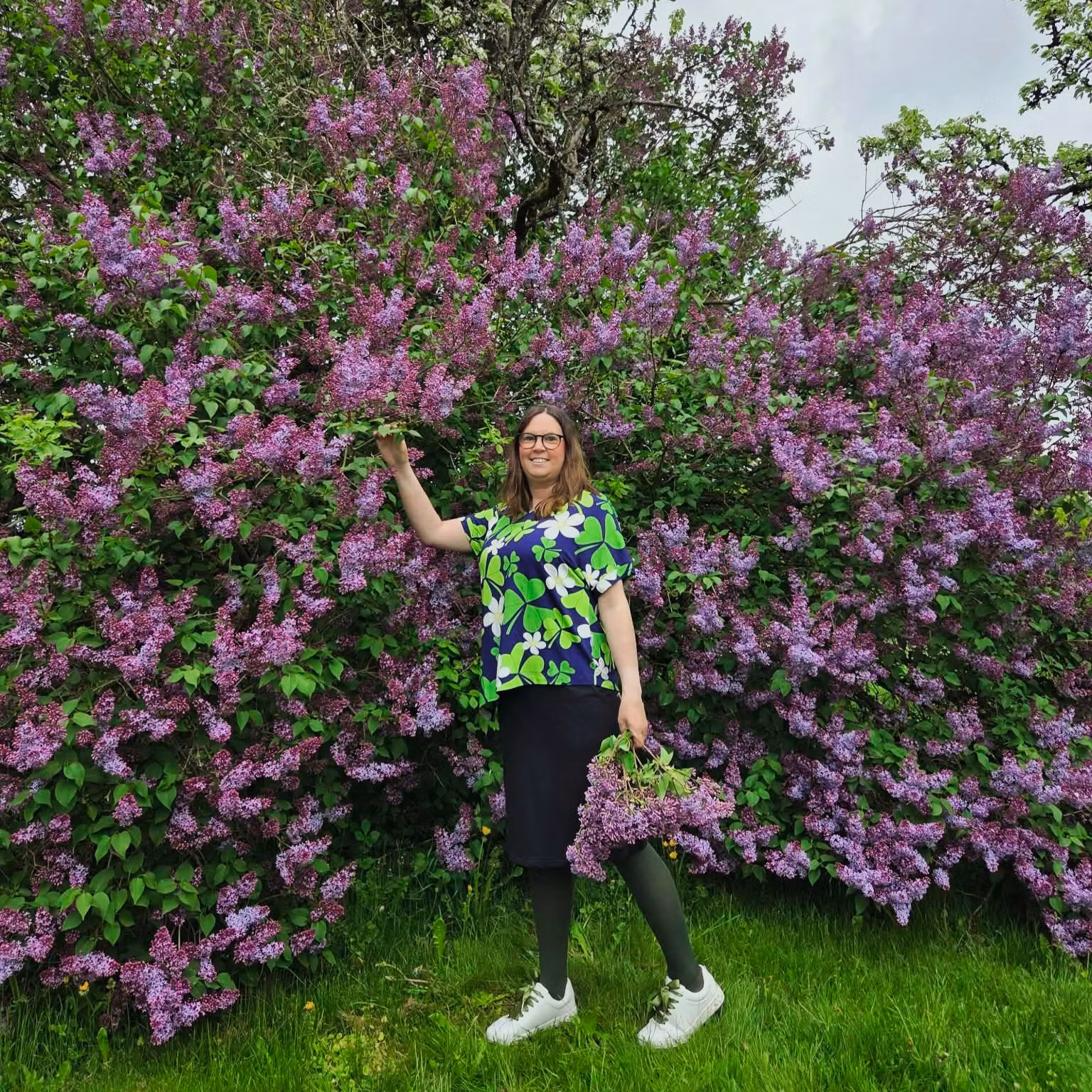 TOPP - Blommande Harsyra