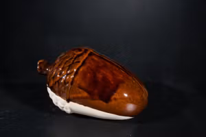 Tenmoku