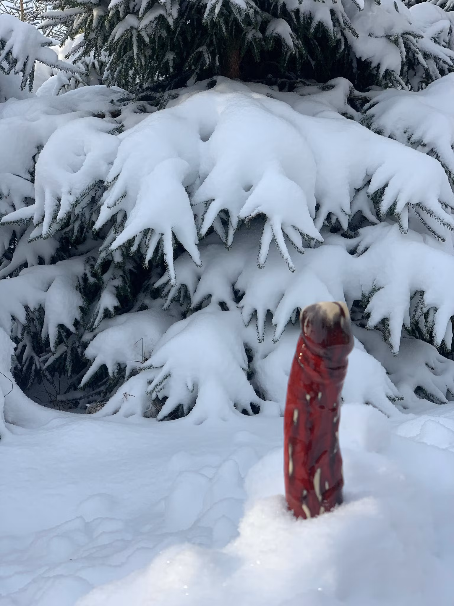 Röd