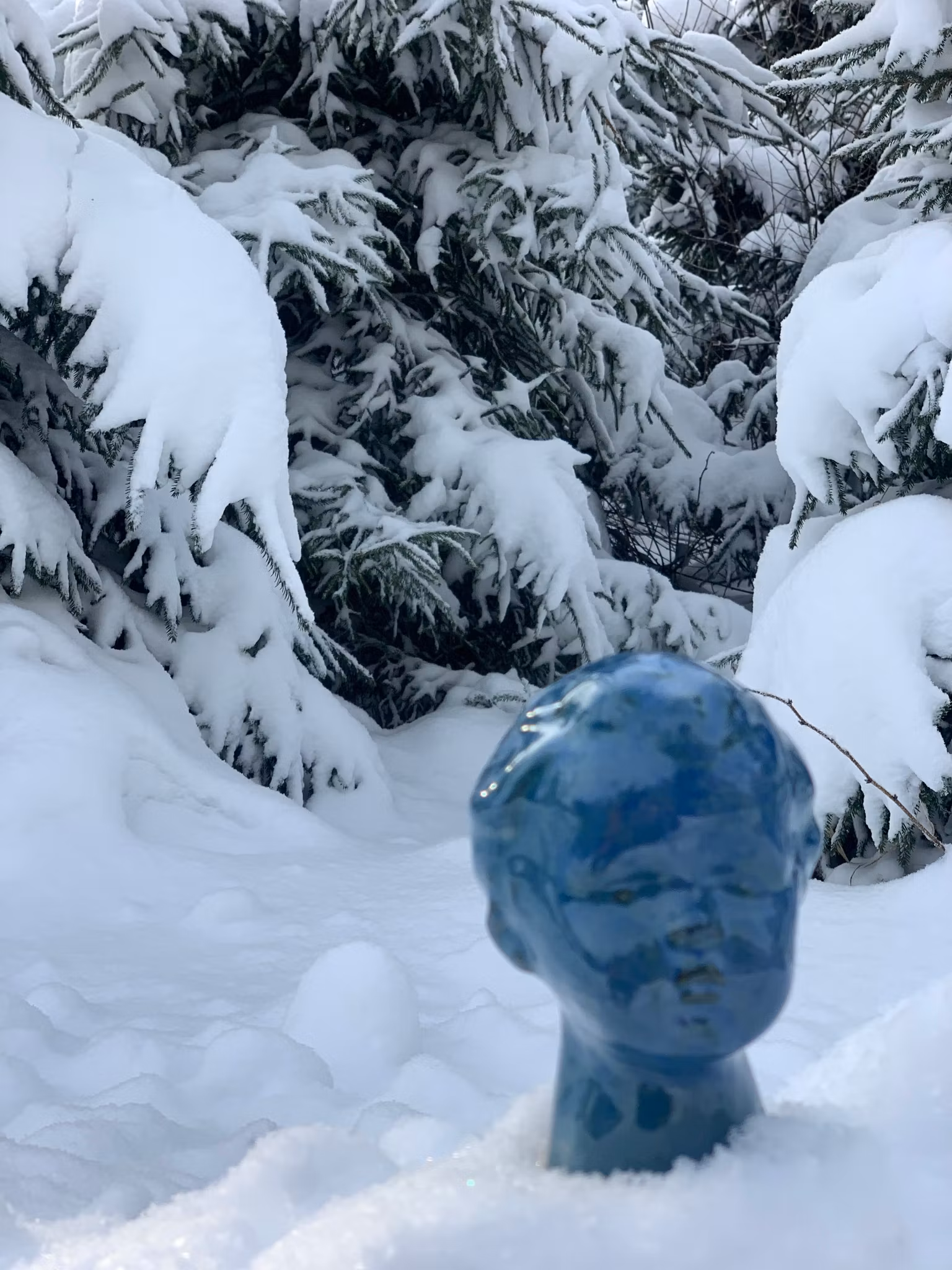 Rimfrost blå