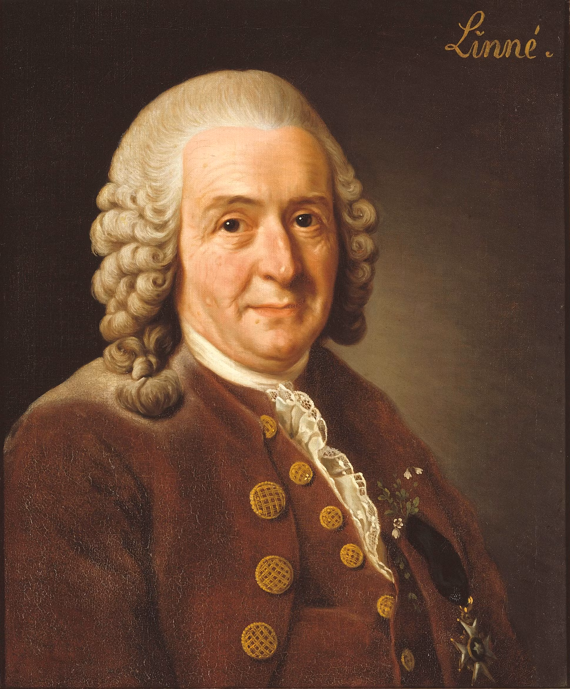 CARL VON LINNÉ av Alexander Roslin