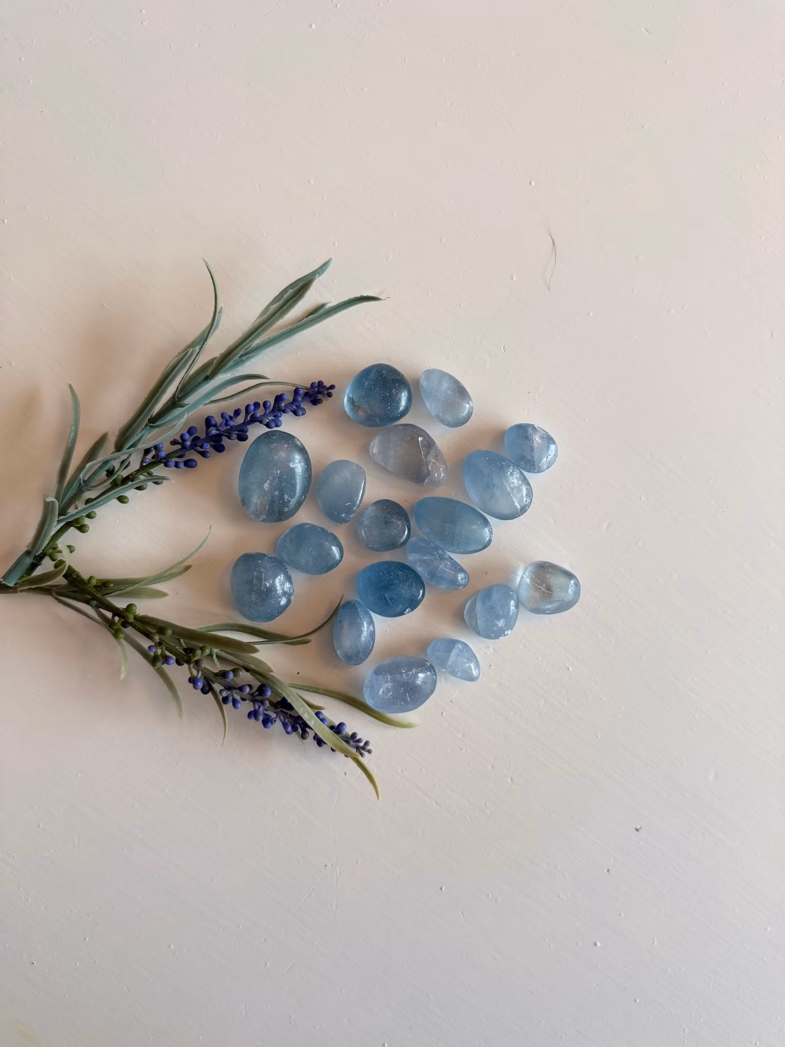 Celestin – Polerade