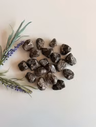 Agat, Turritella Trumlade