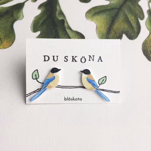 Blåskata