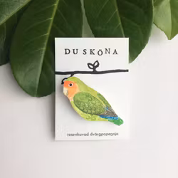 Dvärgpapegoja, brosch