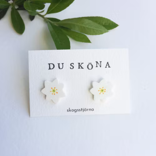 Skogsstjärna