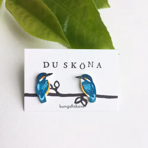 Kungsfiskare