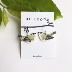 Kungsfågel