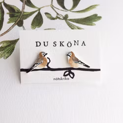 Nötskrika